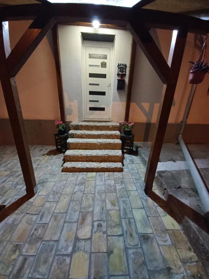 Dvorska Oaza Daire Karlofça Dış mekan fotoğraf