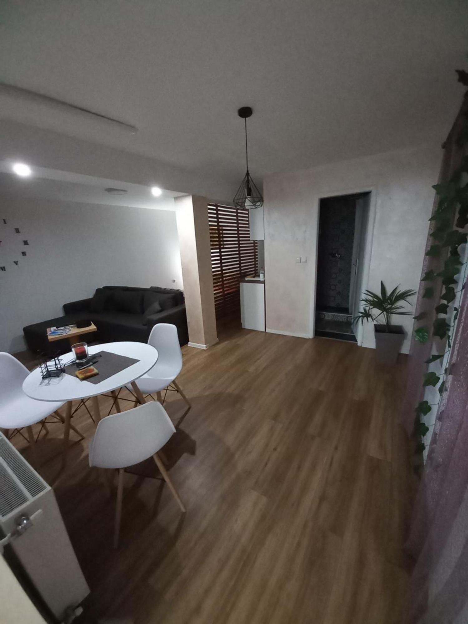 Dvorska Oaza Daire Karlofça Oda fotoğraf